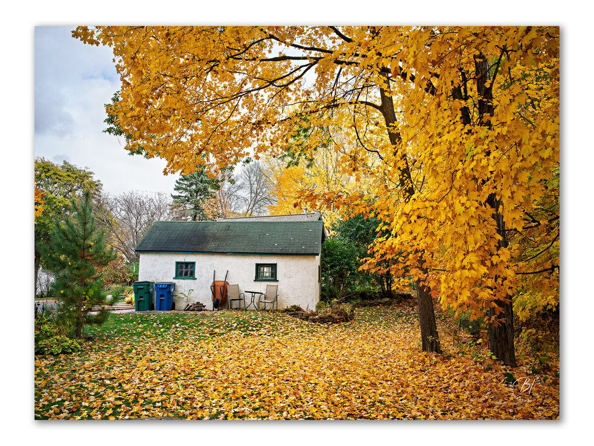 Daily Wwanderings 110125-19-Edit_Original ratio_1600x1200_U_100.jpg