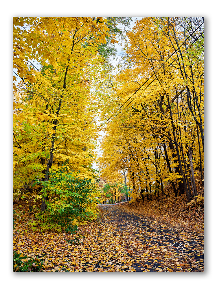 Daily Wwanderings 110125-21-Edit_Original ratio_750x1000_U_100.jpg