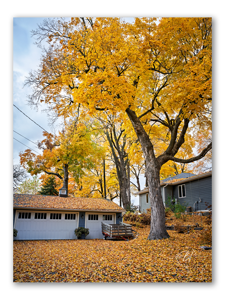 Daily Wwanderings 110125-23-Edit_Original ratio_750x1000_U_100.jpg