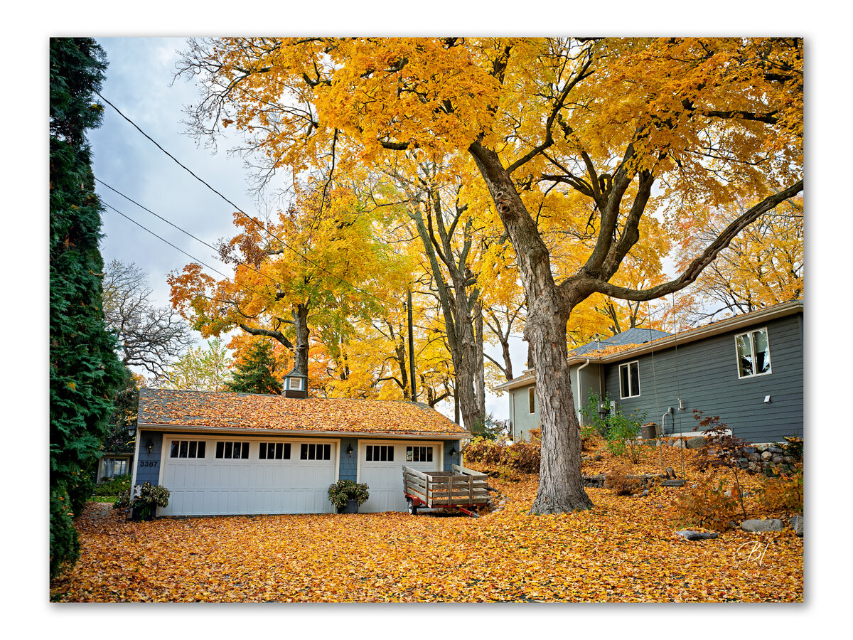 Daily Wwanderings 110125-25-Edit_Original ratio_1600x1200_U_100.jpg