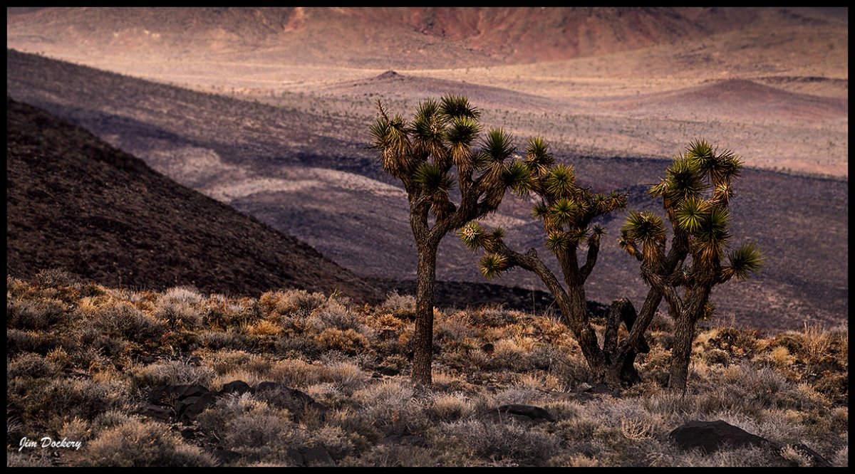Death-Valley-D1-024.jpg