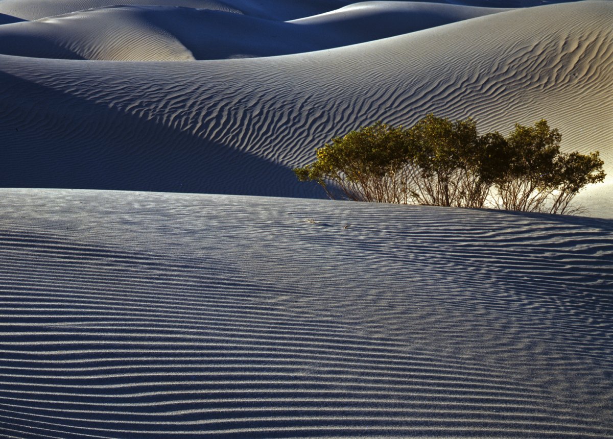Death Valley093.JPG