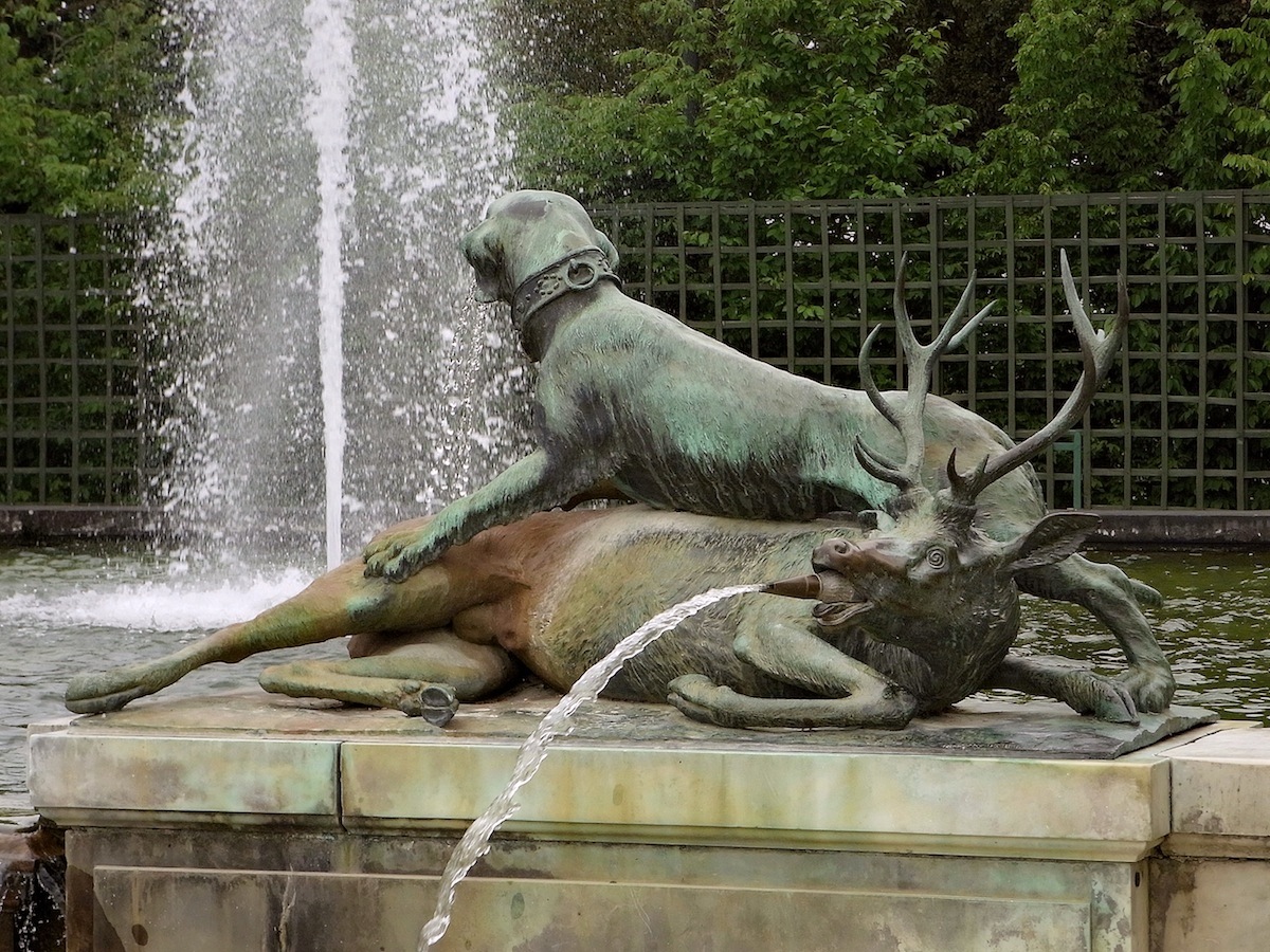 deer.jpg