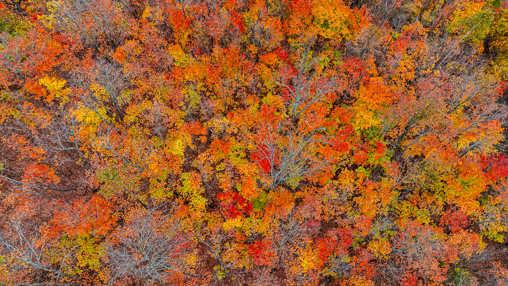 DJI_0010_9x16_dw.jpg