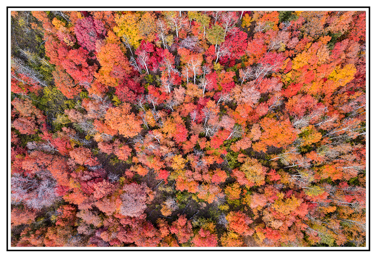 DJI_0964.jpg