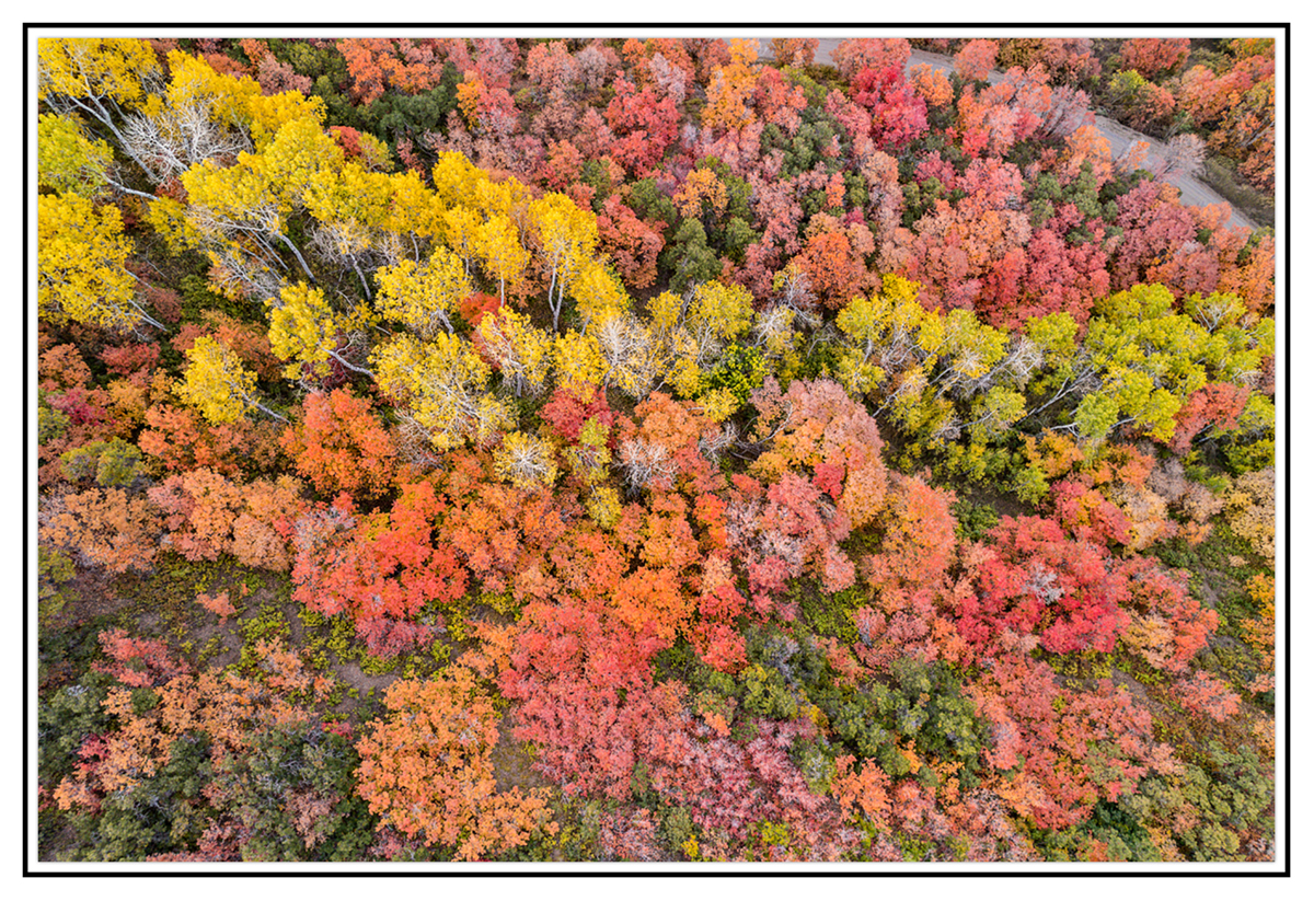 DJI_0976.jpg