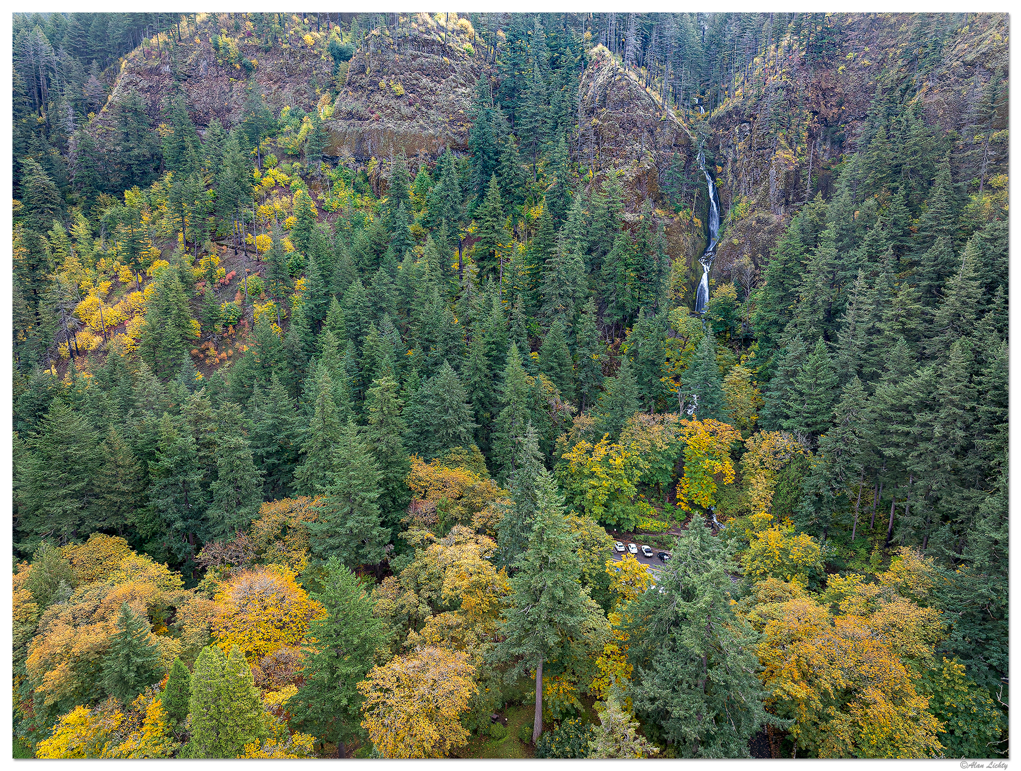 DJI_M3P_24_ECFMaples102025.jpg