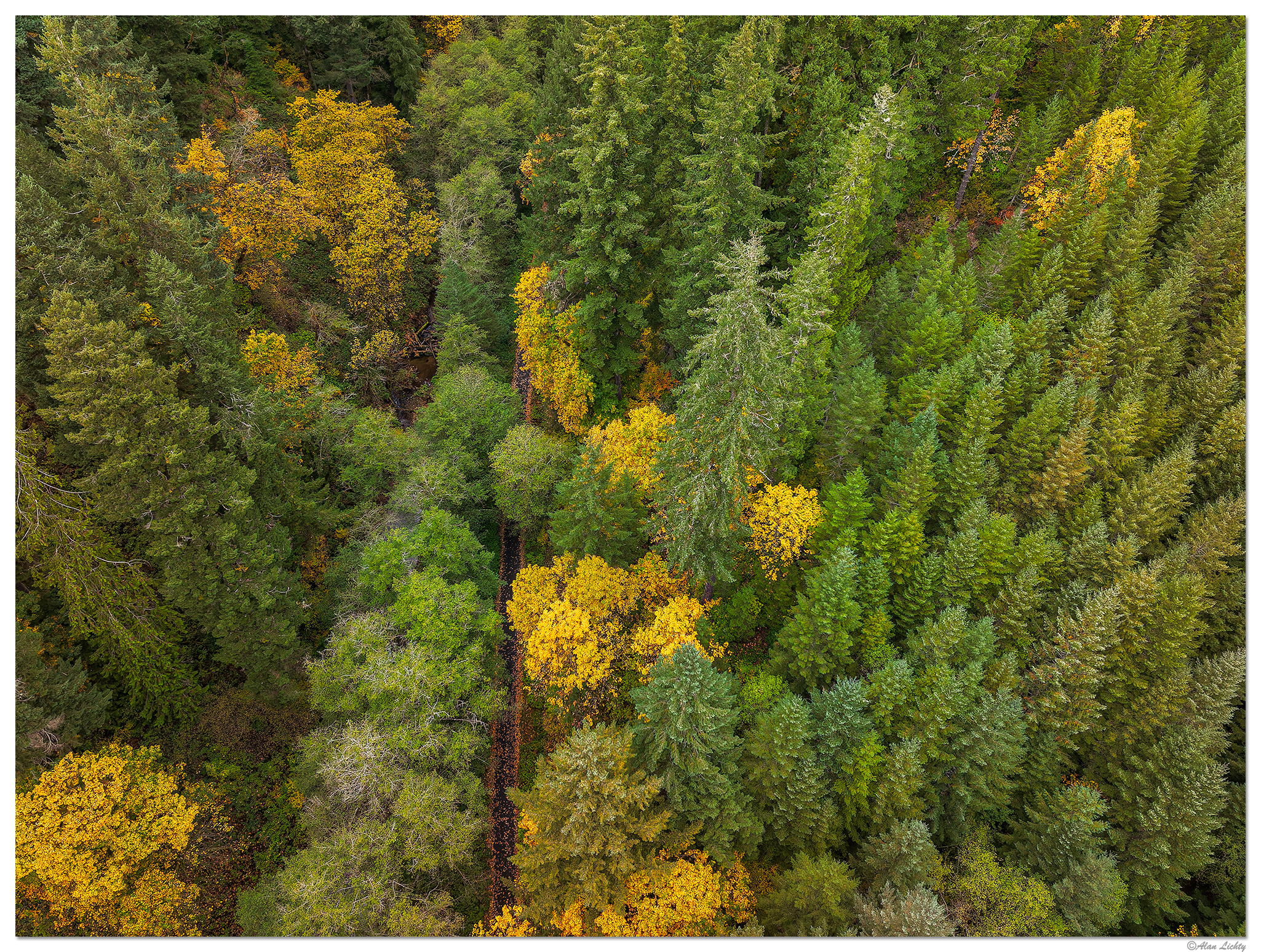DJI_M3P_24_SCR-NFRd2102825.jpg