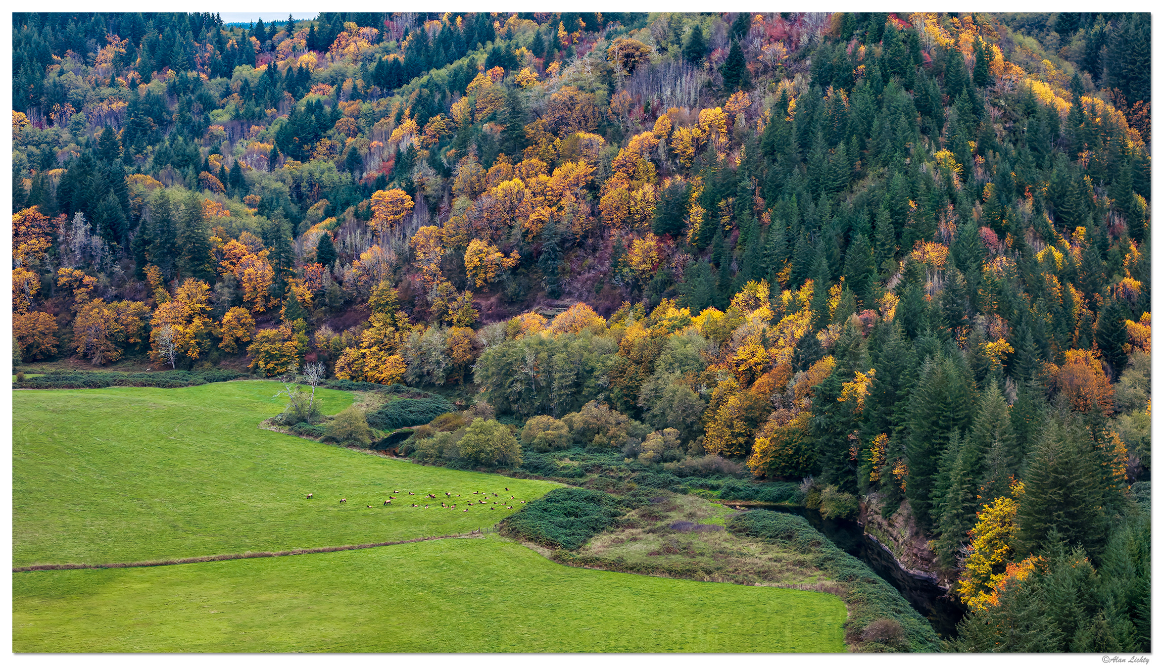 DJI_M3P_70_NFSmithLowlands102825.jpg