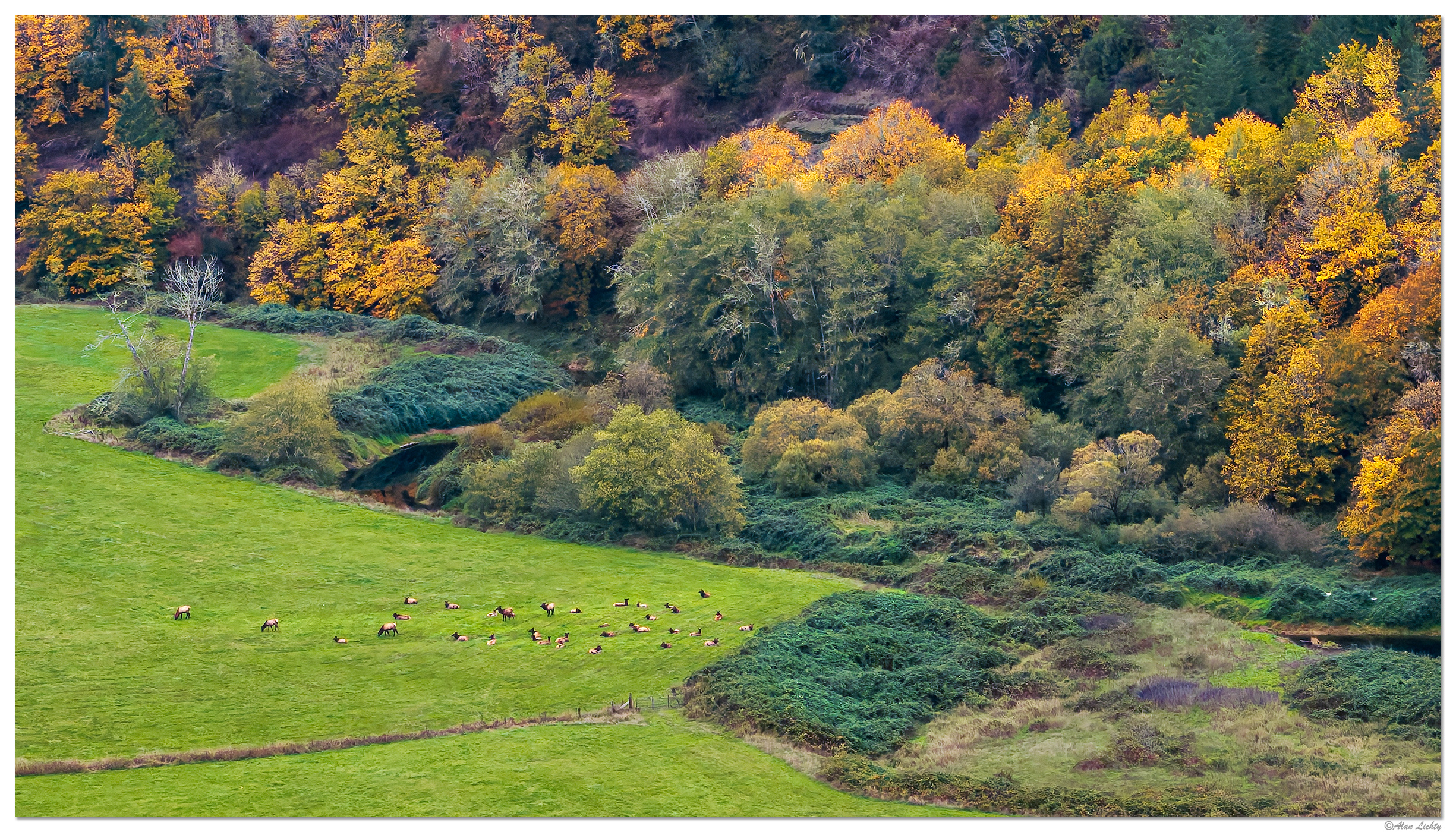 DJI_M3P_70_NFSmithLowlands2102825.jpg