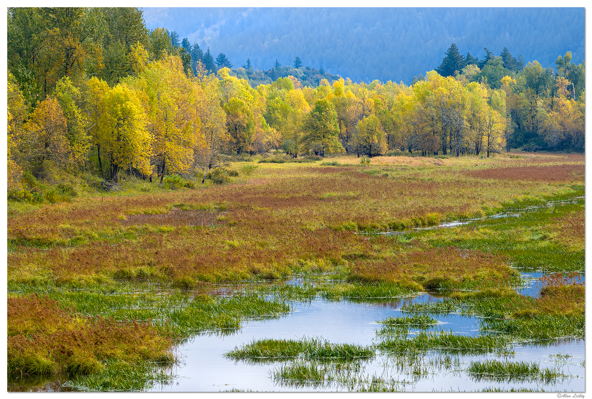 DJI_MP3_166_YoungCreekWetlands102024.jpg