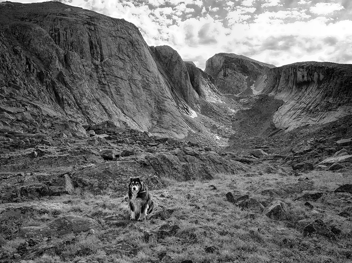 Djinni-Little-El-Cap-BW.jpg