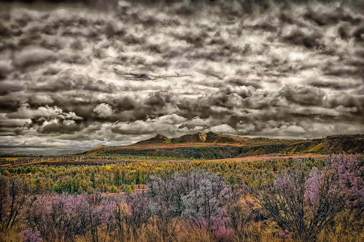 DomeWilderness_IR_1200.jpg