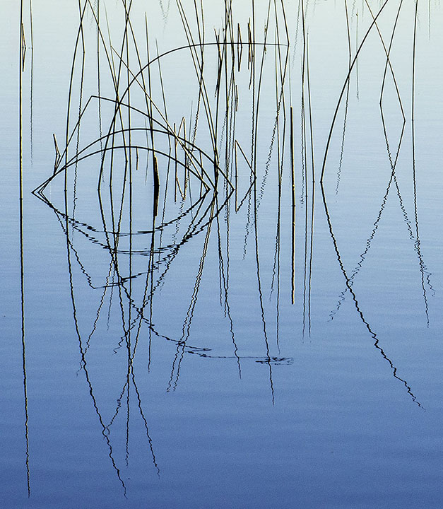 door county reeds.jpg