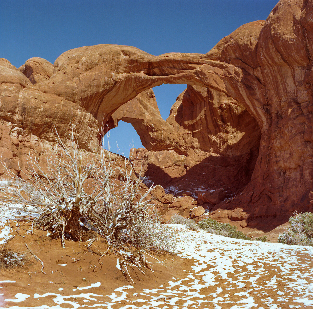 double arch.jpg