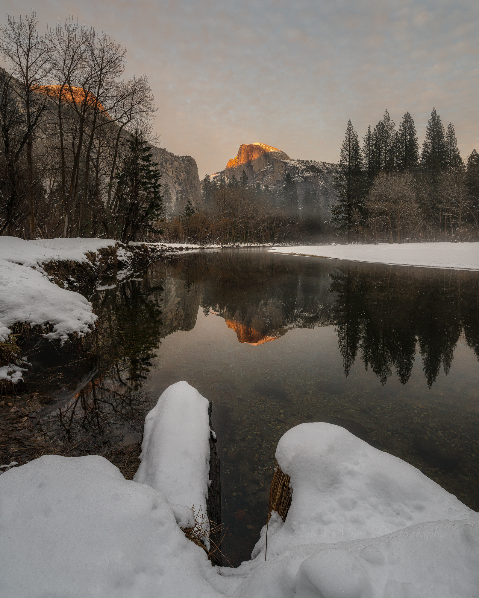 Dressed for Winter.jpg