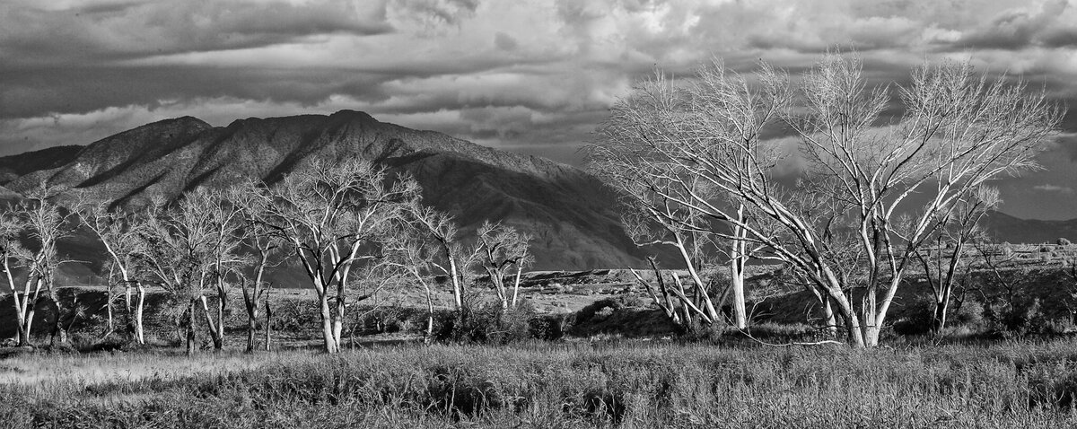 DS2_5419_101002_SE1_c1w.jpg