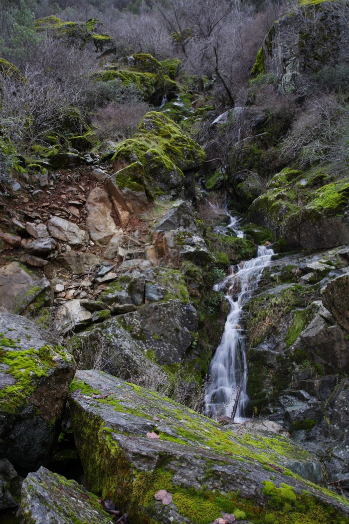 DS2_8828_101228w.JPG