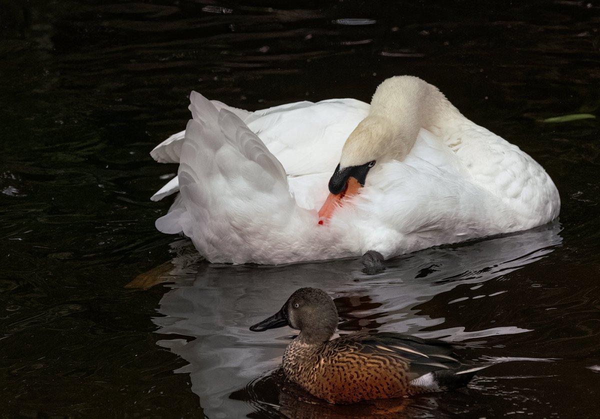 DSC07673-copy.jpg
