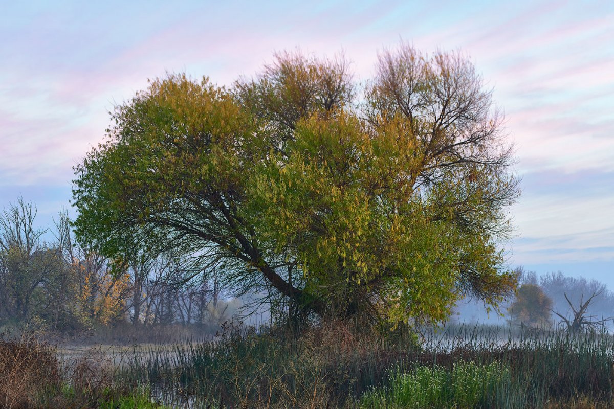 DSC09210-copy.jpg