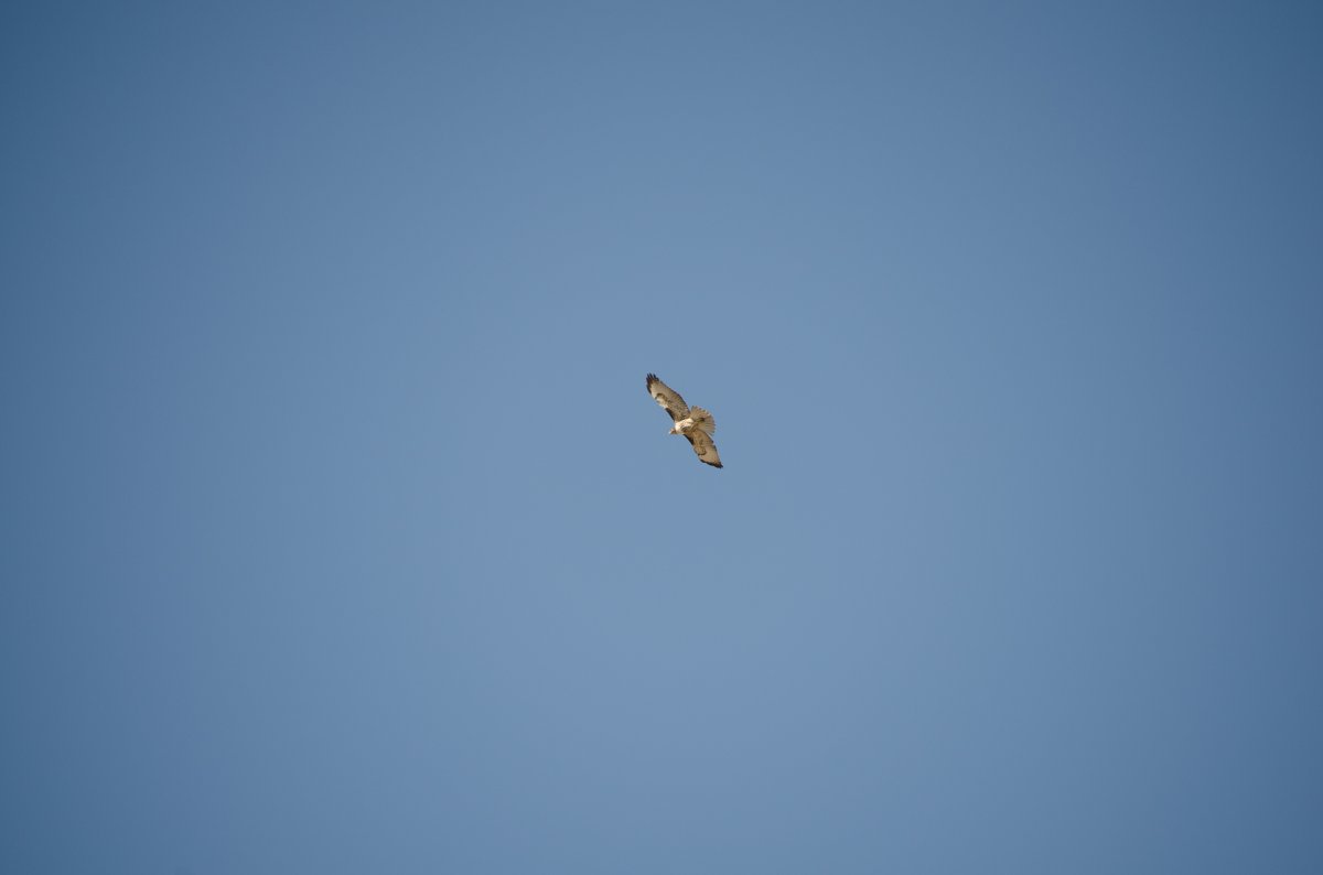DSC_0003-3.jpg
