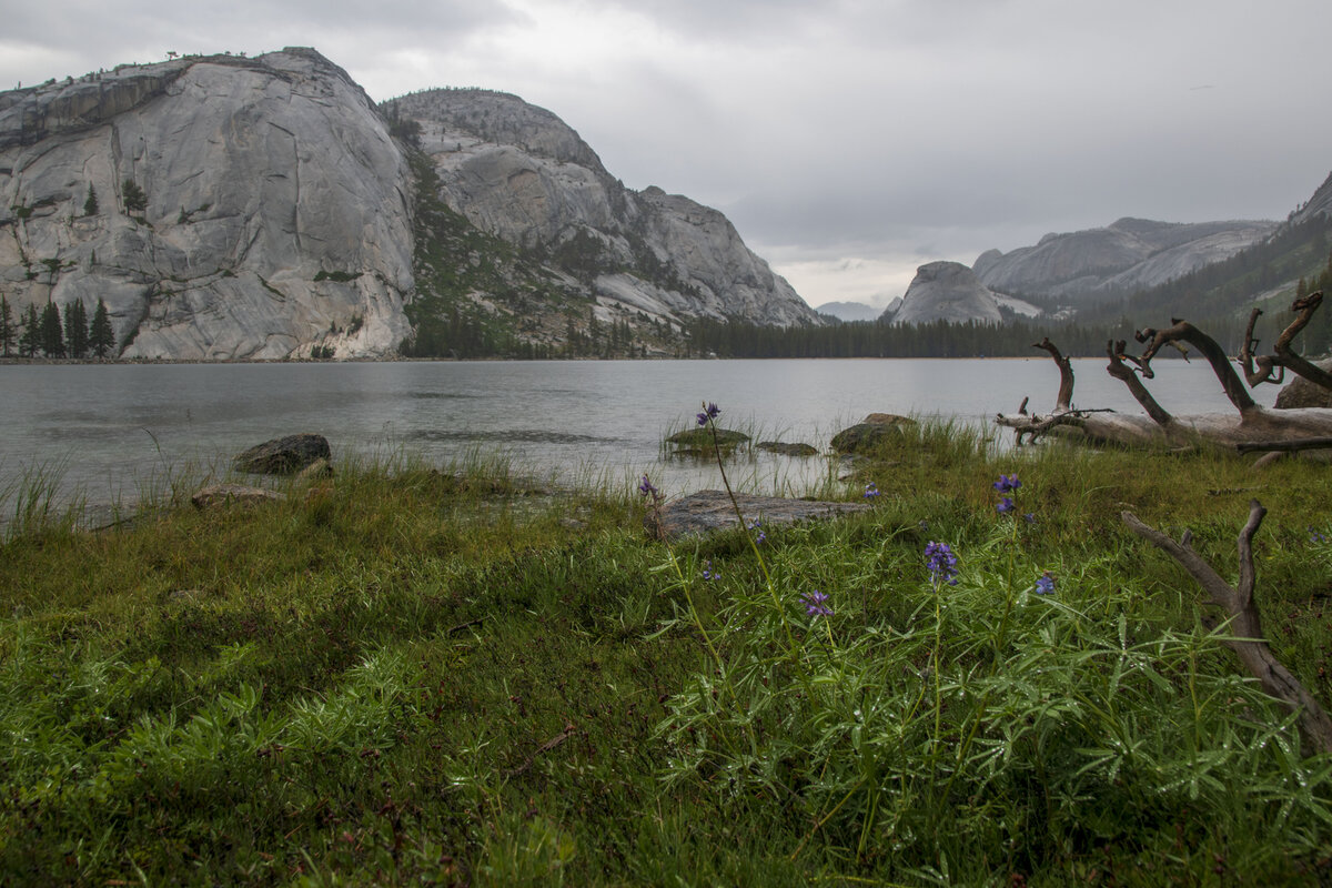 DSC_0024b.jpg