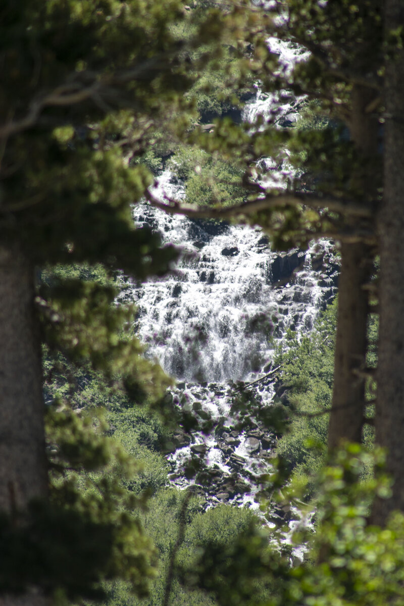 DSC_0034.jpg
