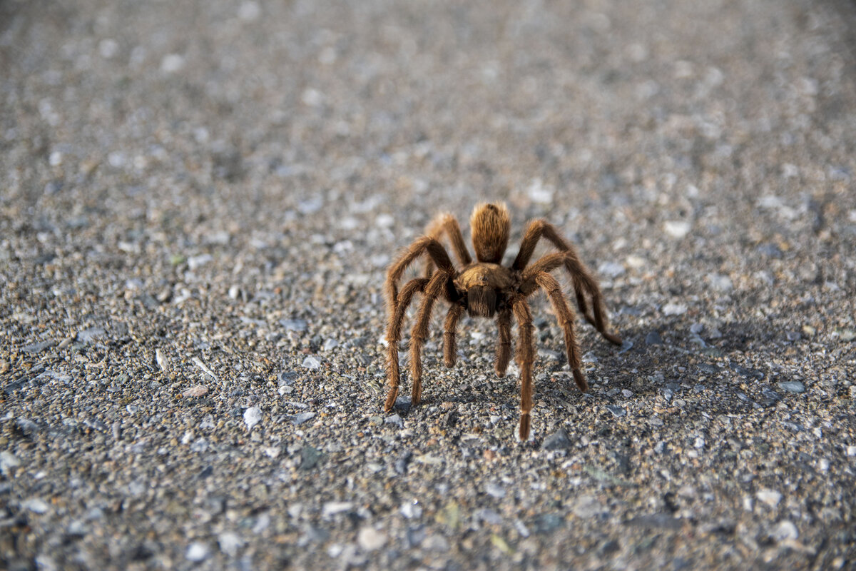 DSC_0057.jpg