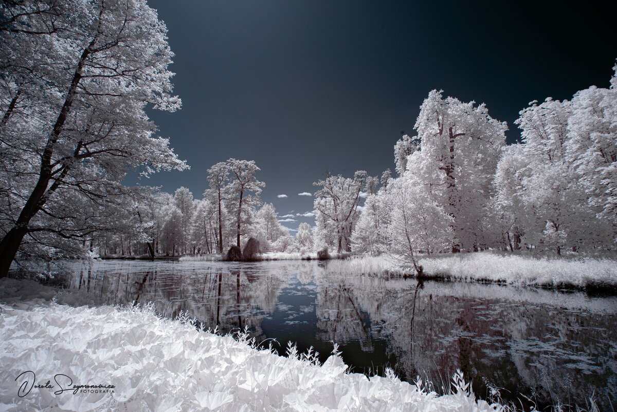 DSC_0106a.jpg