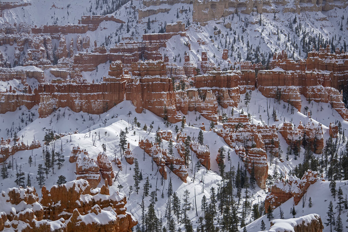 DSC_0139.jpg