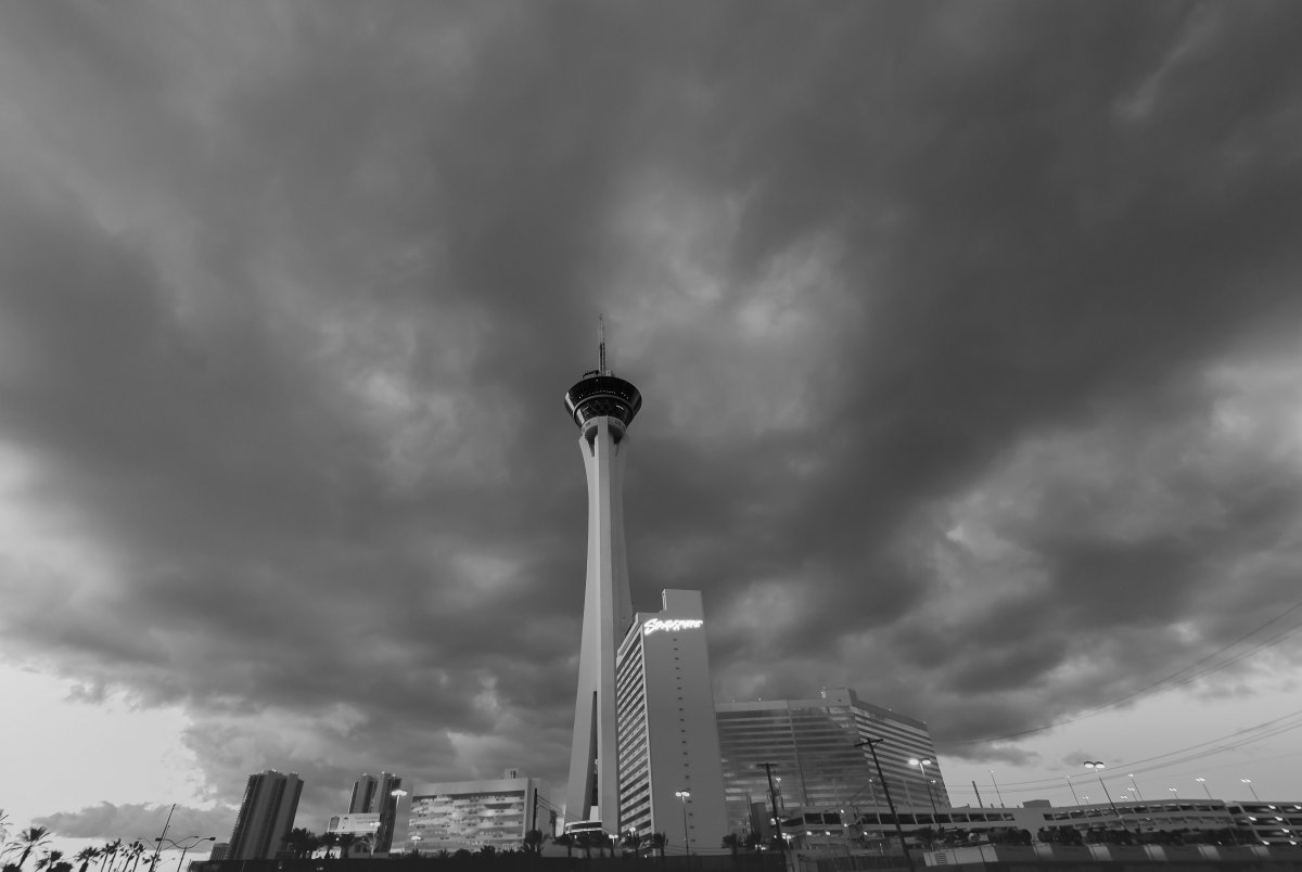 DSC_0142.jpg