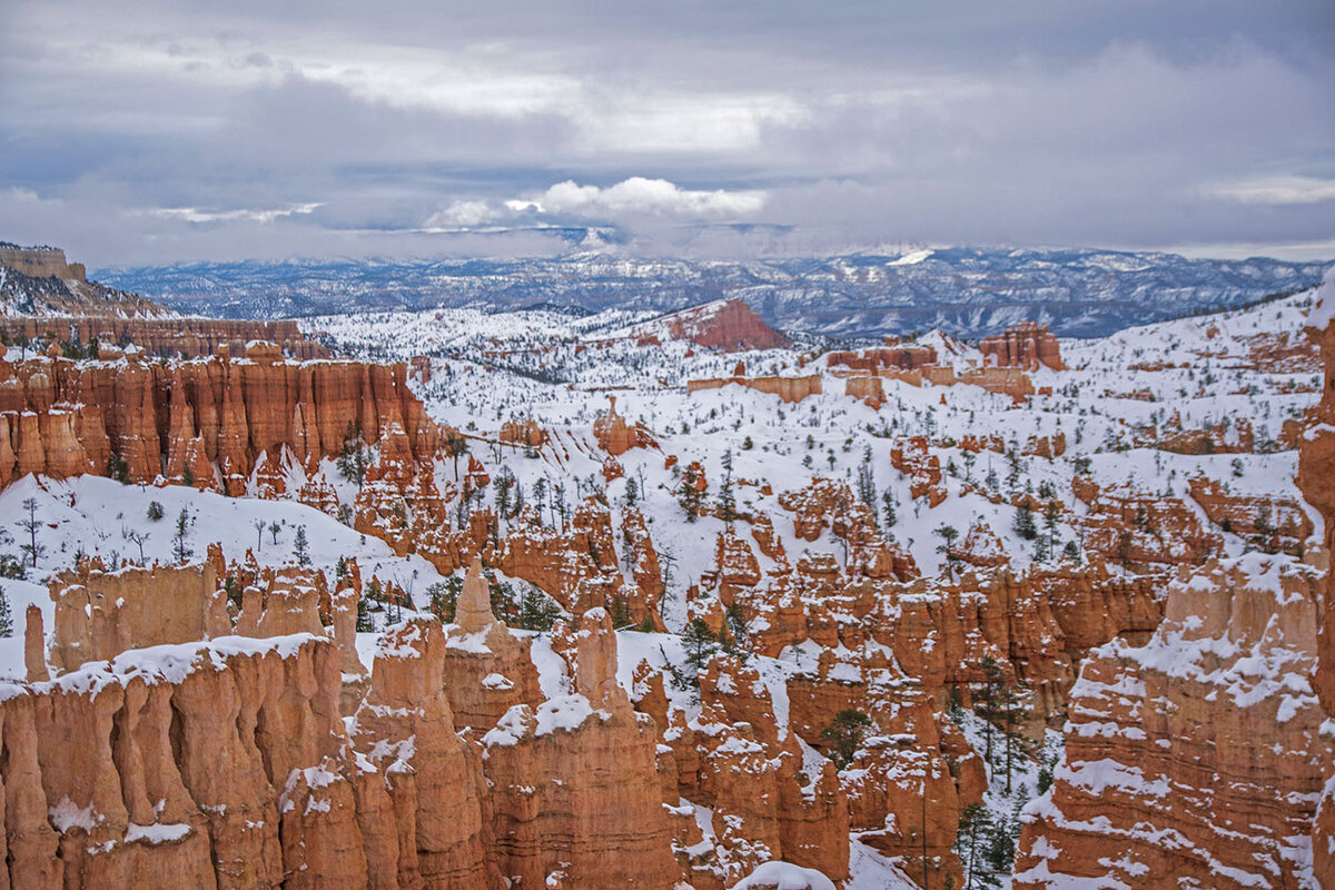 DSC_0218a.jpg