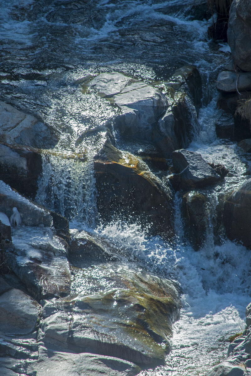 DSC_0230.jpg