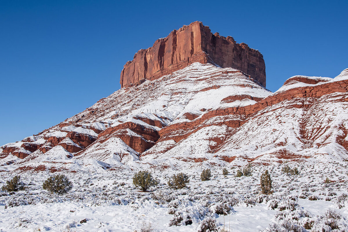 DSC_0237.jpg