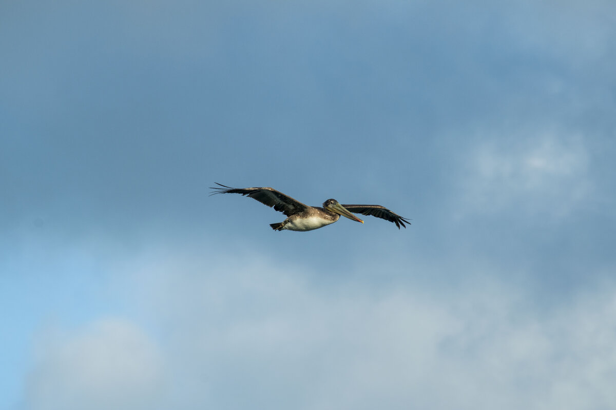 DSC_0269.jpg