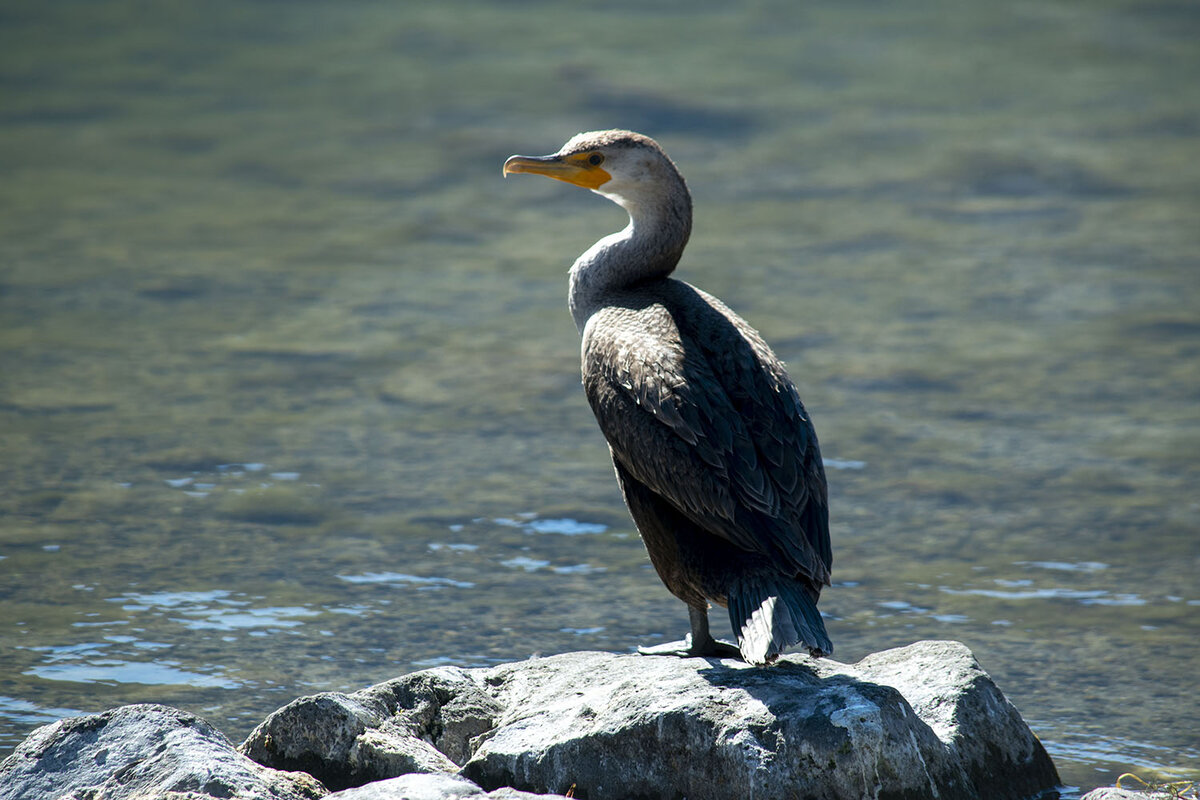 DSC_0289.jpg