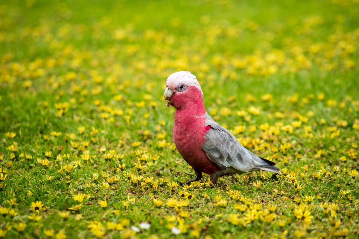 DSC_0311.jpg