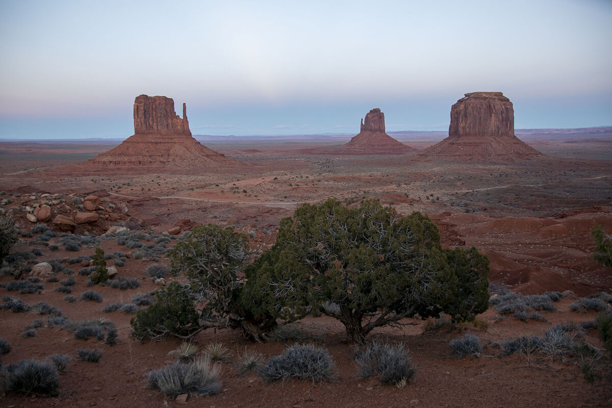 DSC_0321.jpg