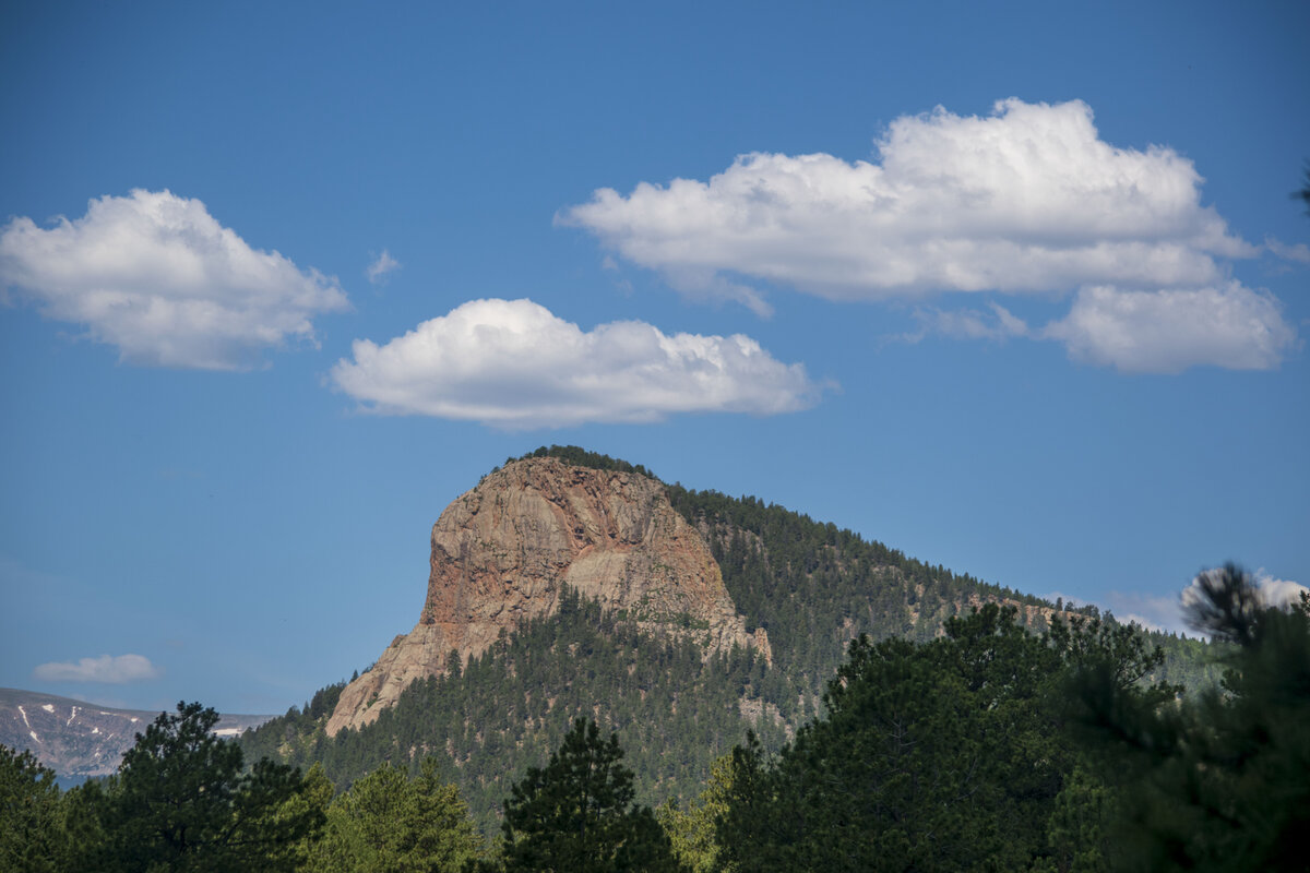 DSC_0351b.jpg