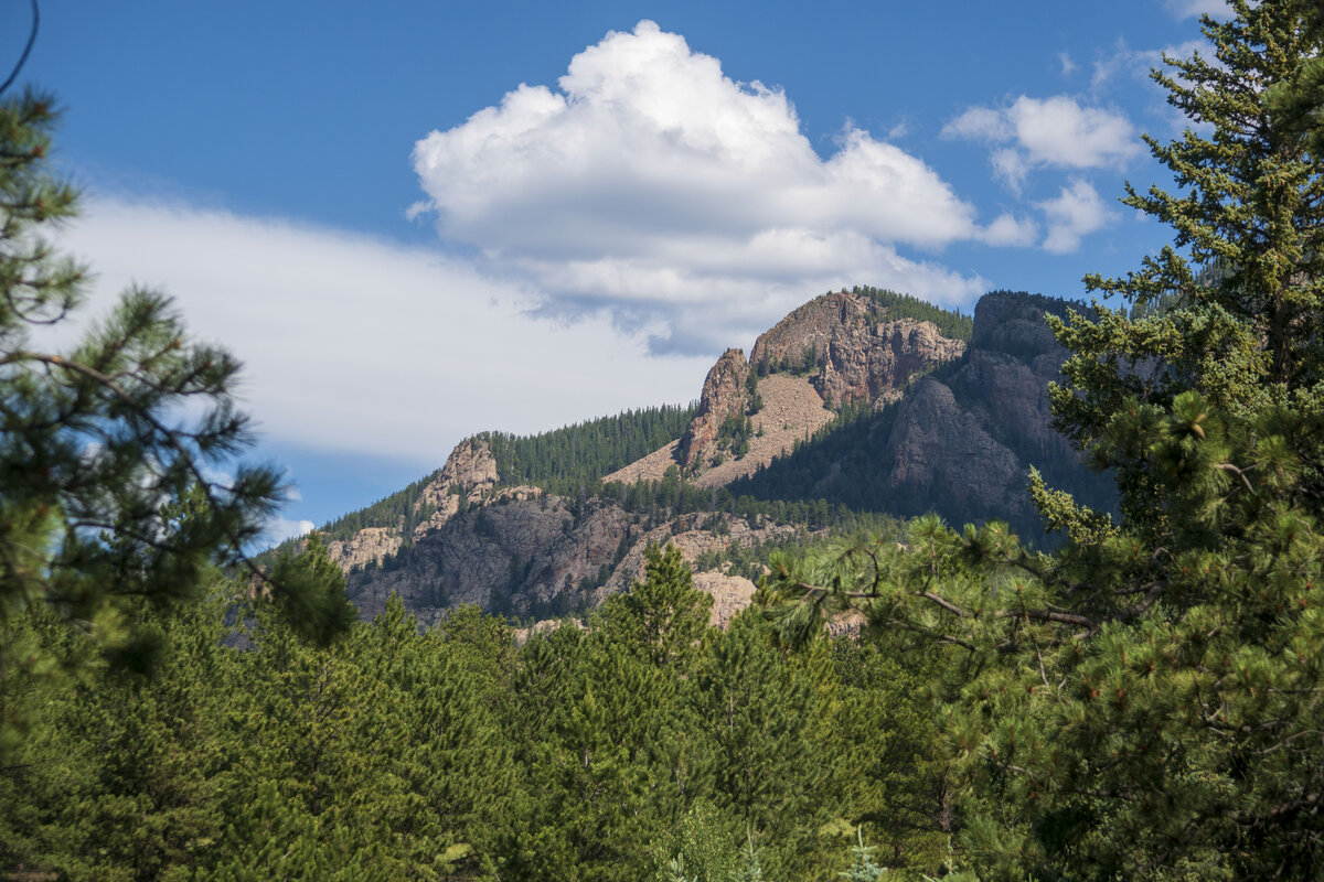 DSC_0357b.jpg