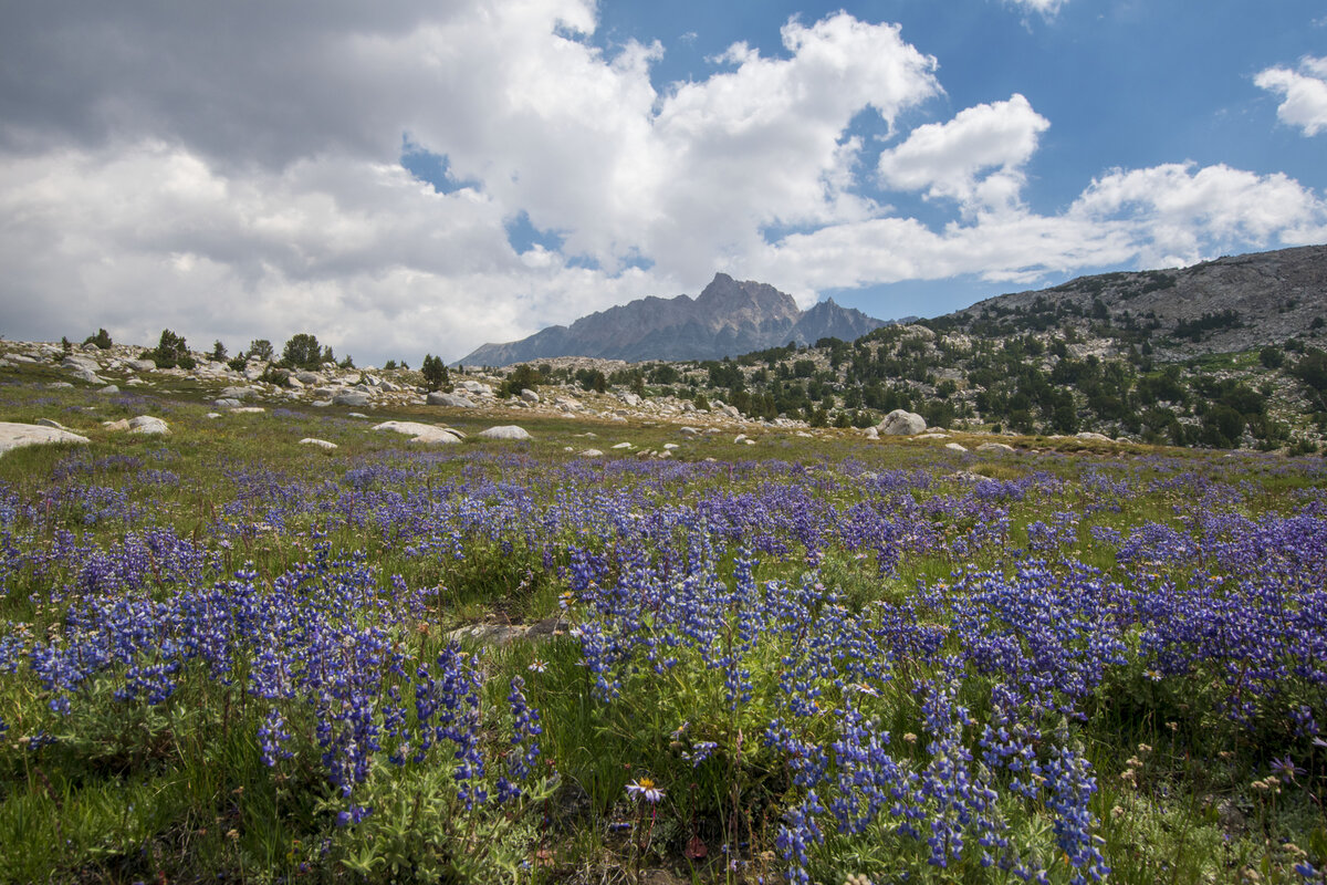 DSC_0383.jpg