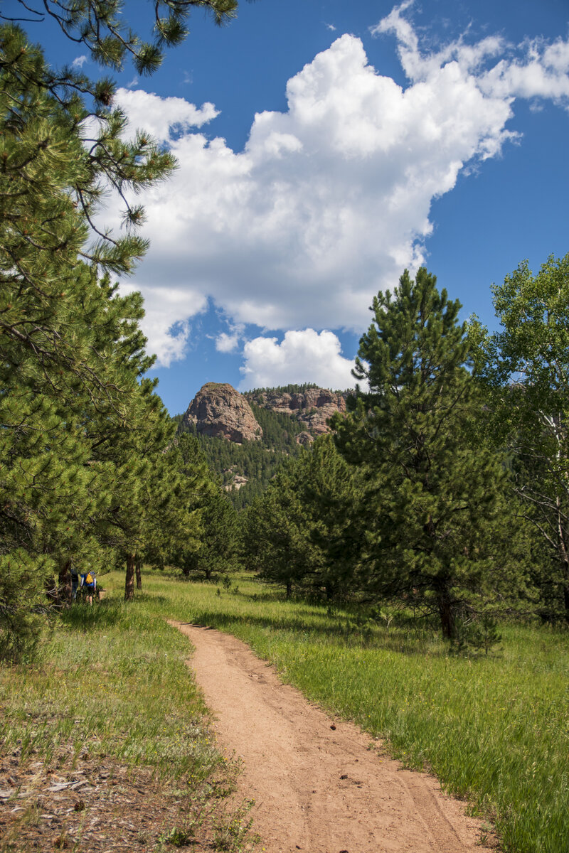 DSC_0387b.jpg