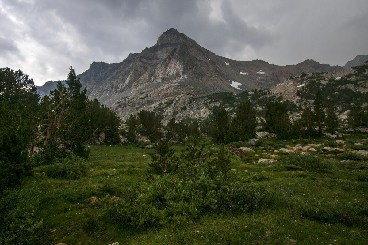 DSC_0425.jpg