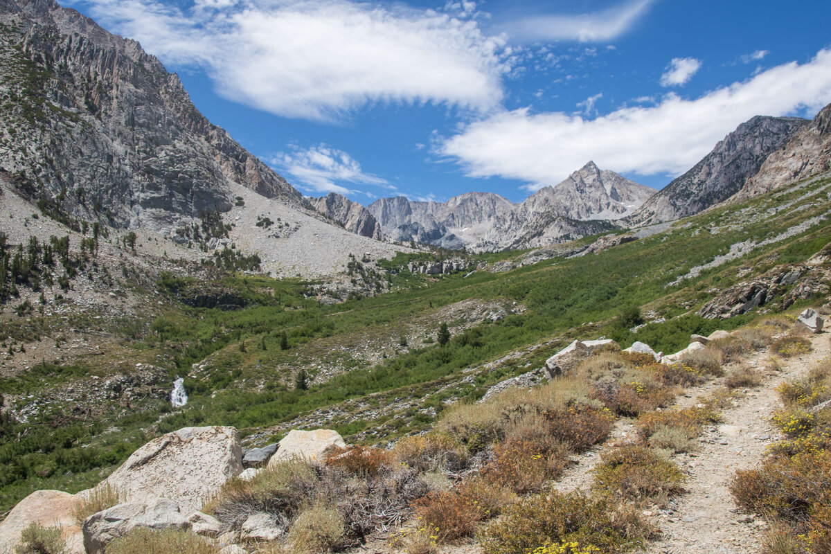 DSC_0445.jpg