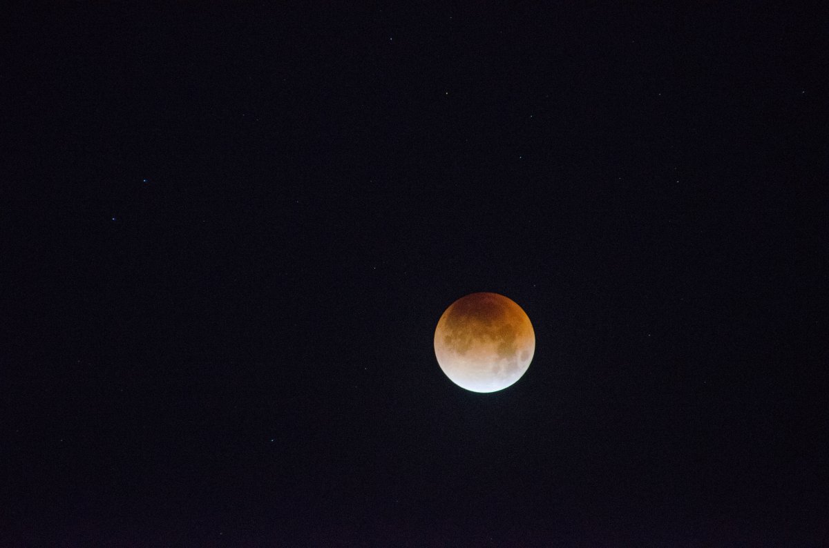 DSC_0510.jpg