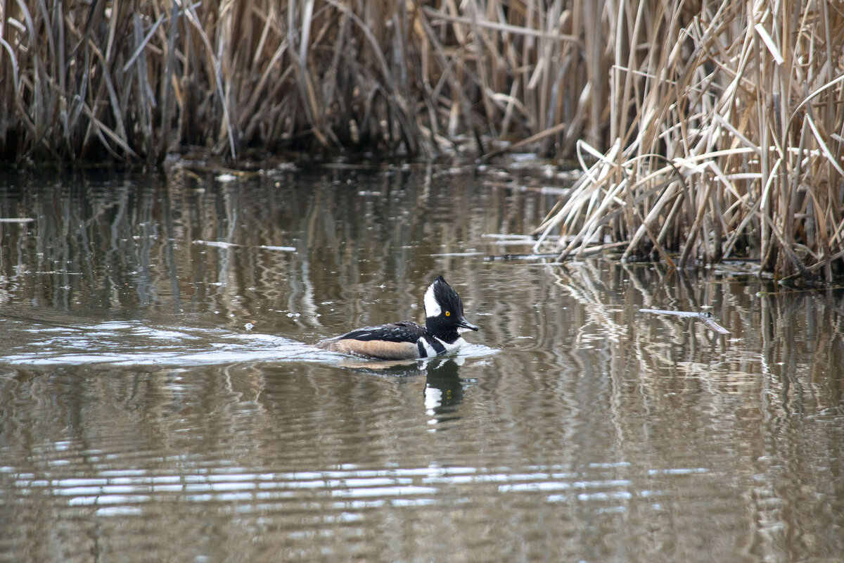 DSC_0552.jpg