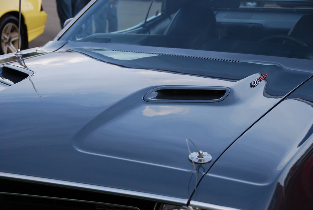 DSC_0559-X2.jpg