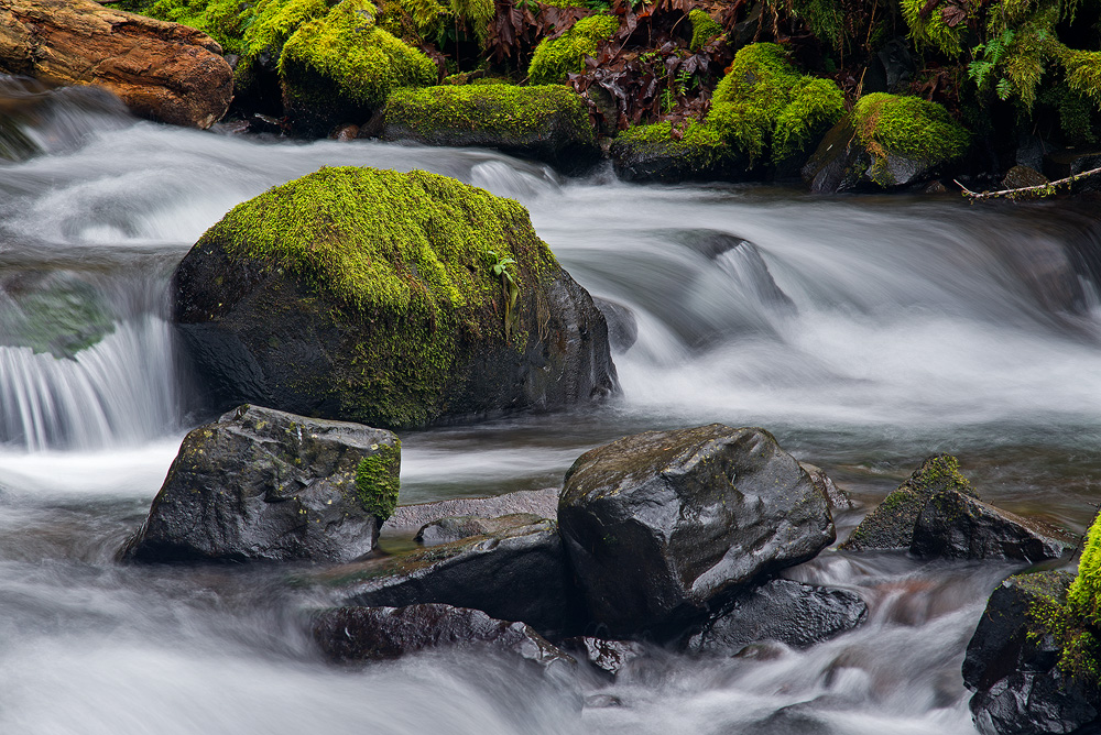DSC_0566.jpg