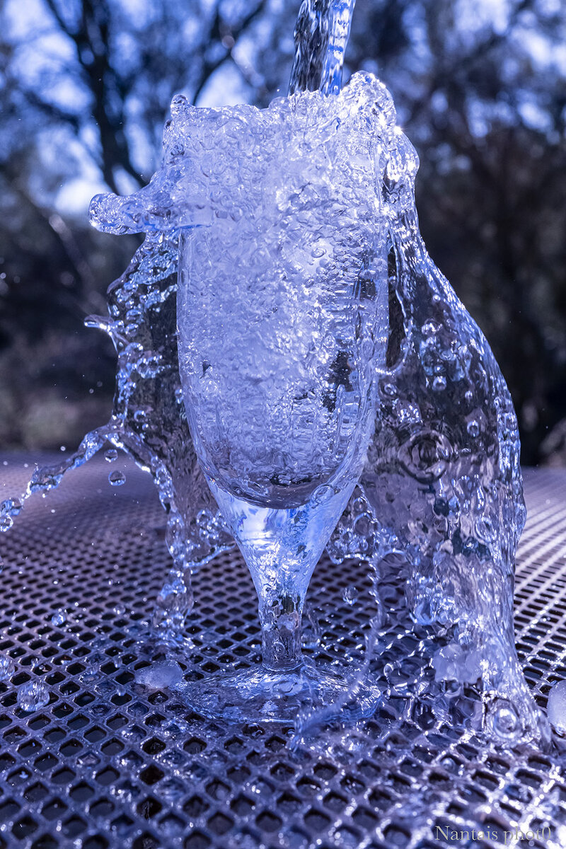 DSC_0588s.jpg