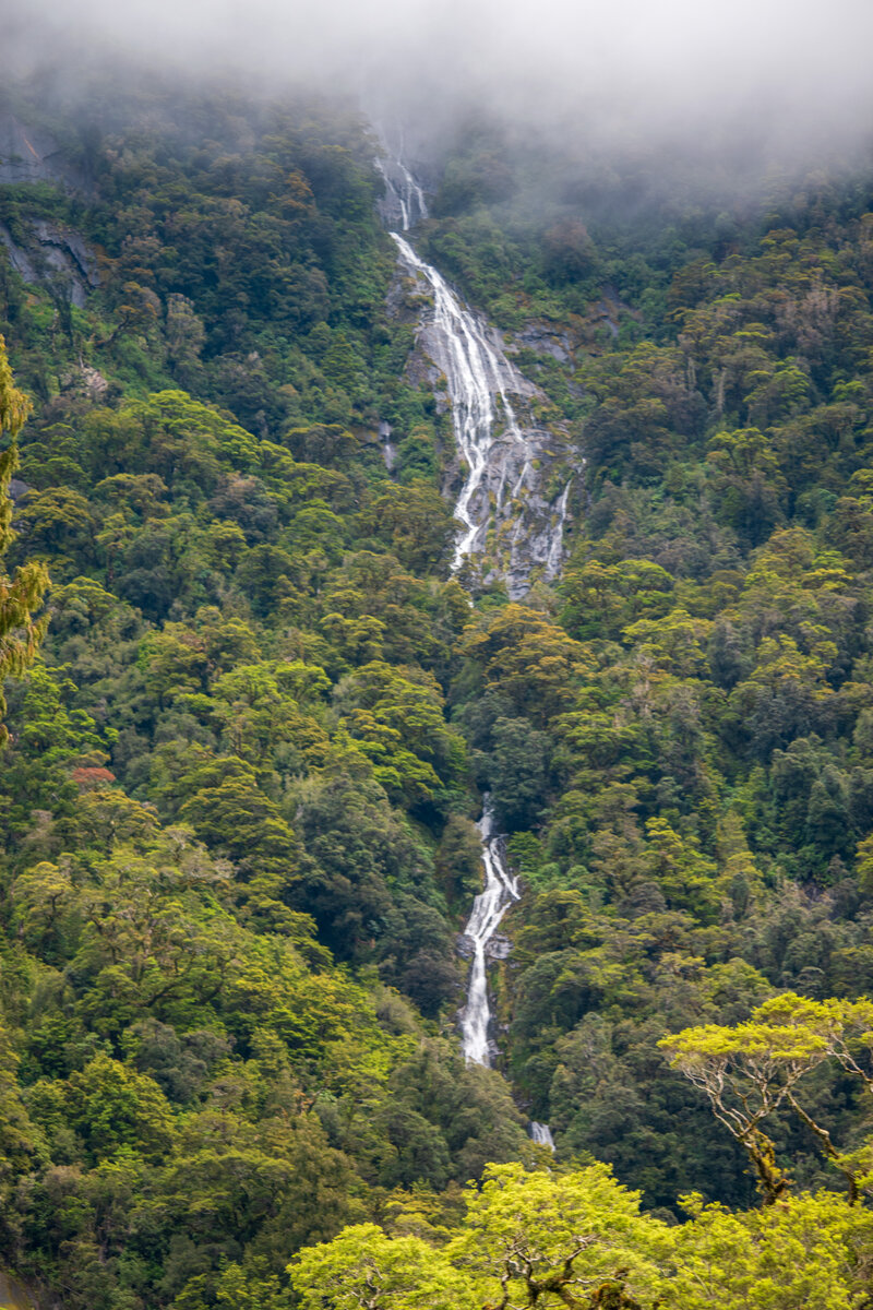 DSC_0592.jpg